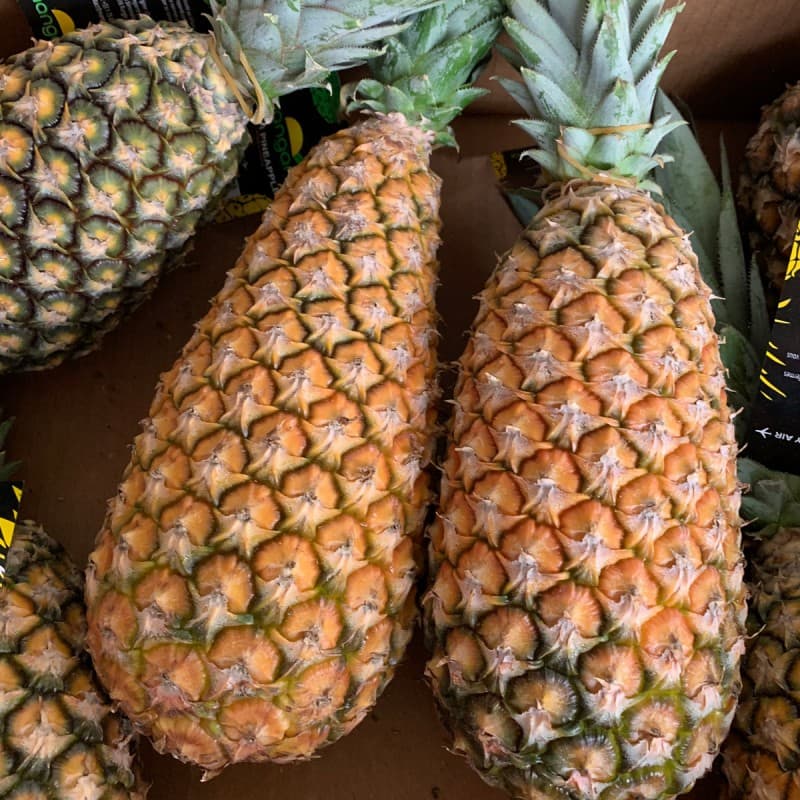 Ananas Pain de Sucre