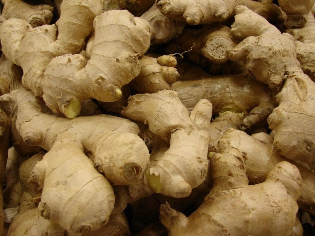 Gingembre frais