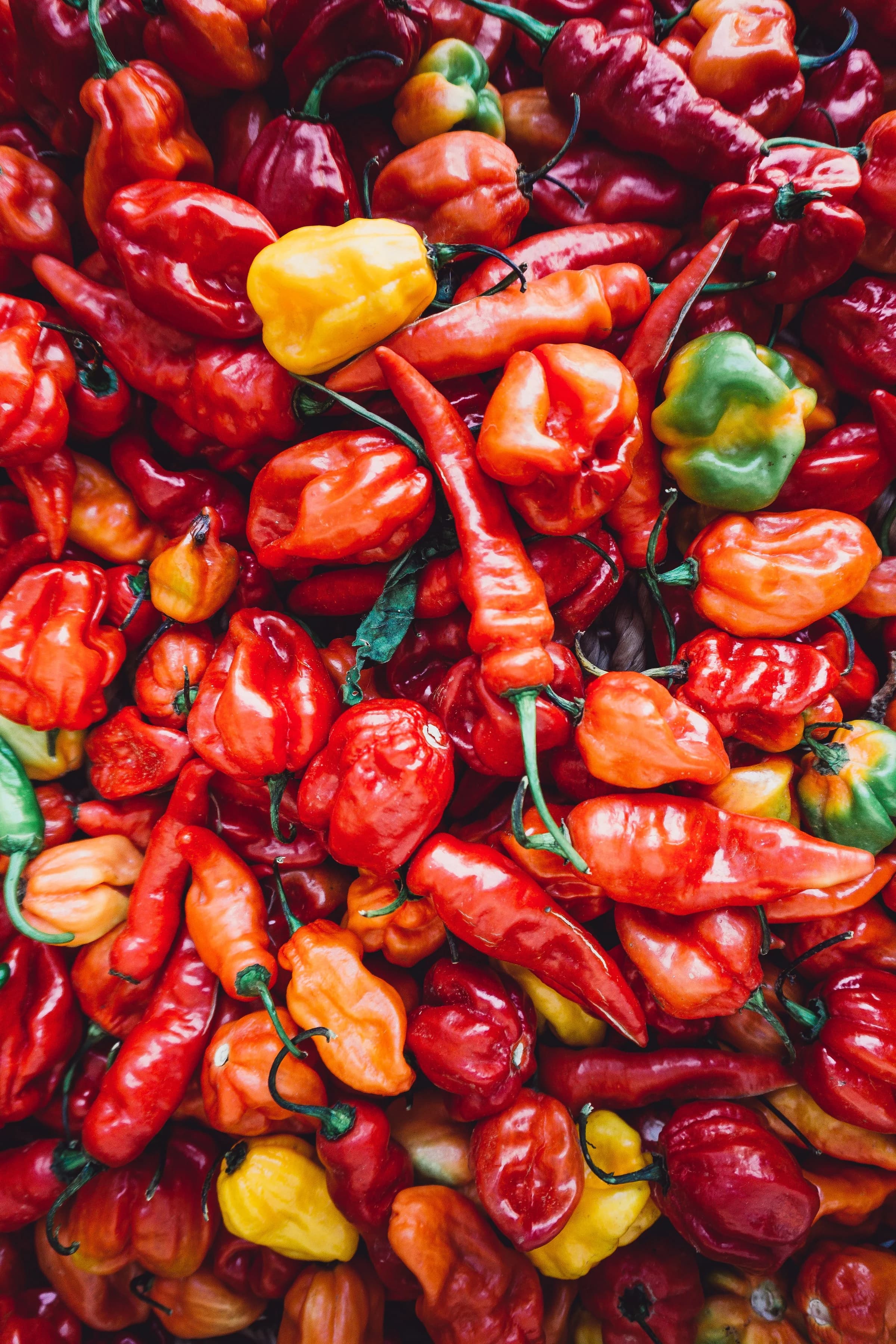 Piment Scotch Bonnet